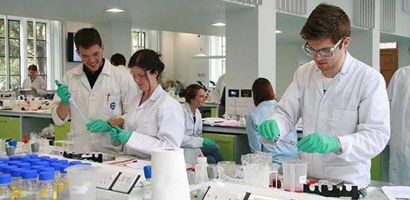 Undergraduate students in the lab